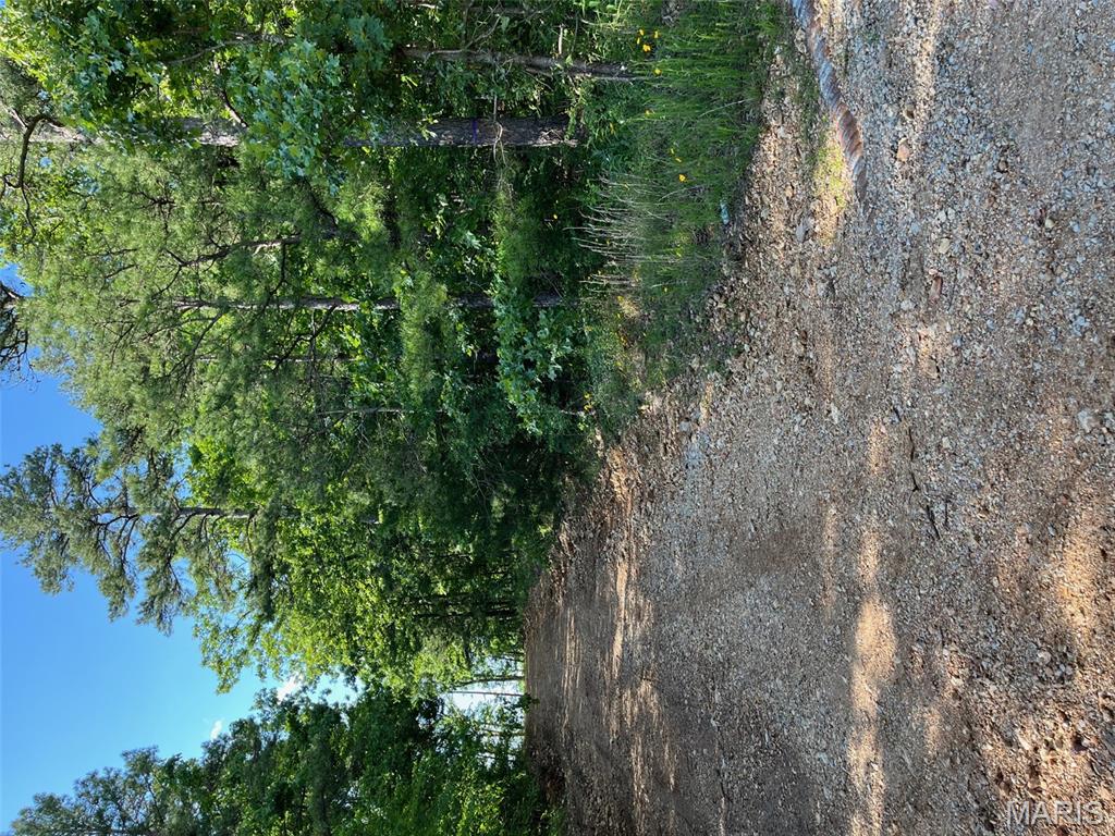 1 Gobbler Cove Property Photo 44