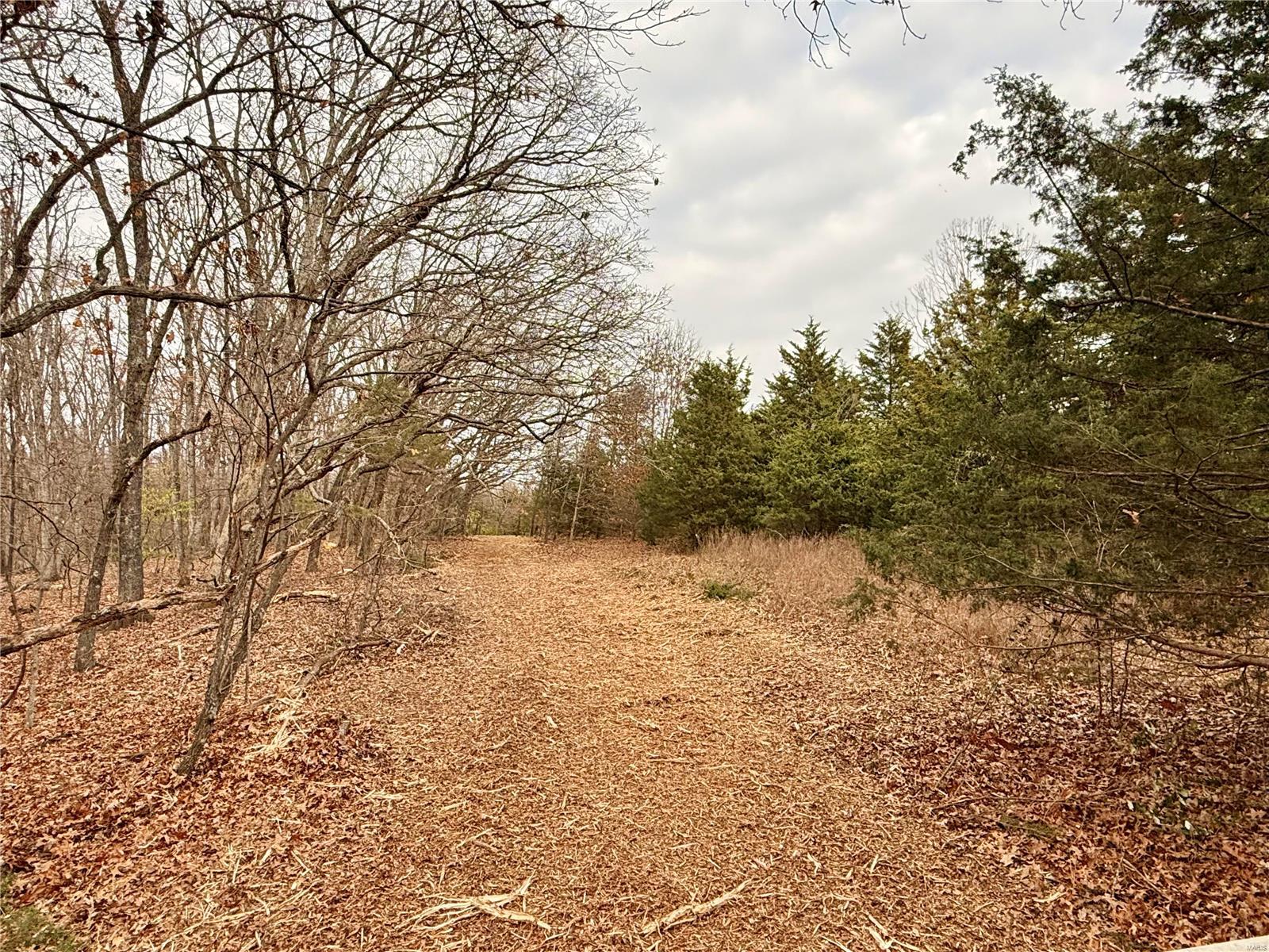 0 Callaway Ridge Drive Property Photo 4