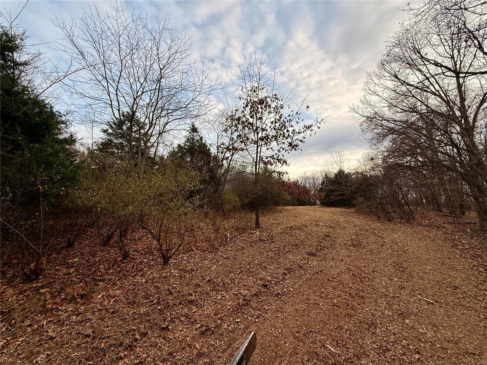 0 Callaway Ridge Drive Property Photo 5