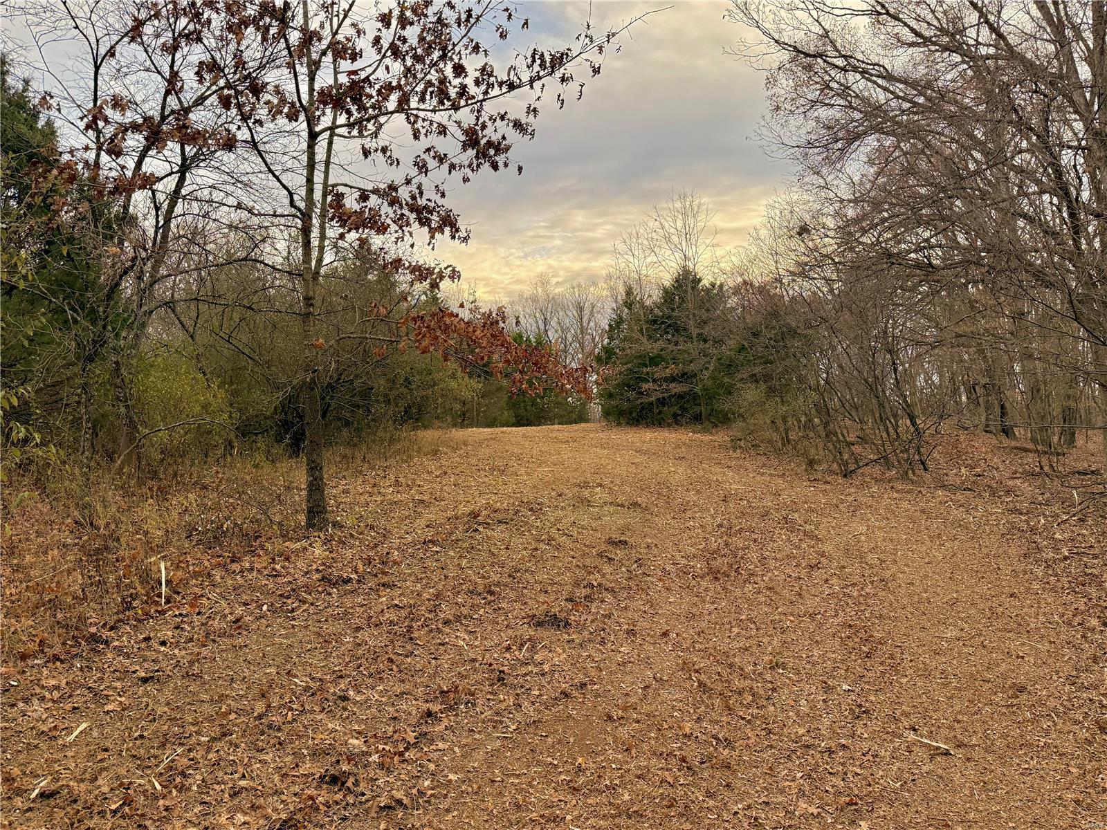 0 Callaway Ridge Drive Property Photo 6