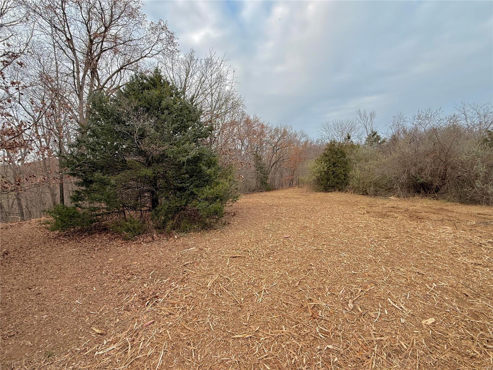 0 Callaway Ridge Drive Property Photo 9