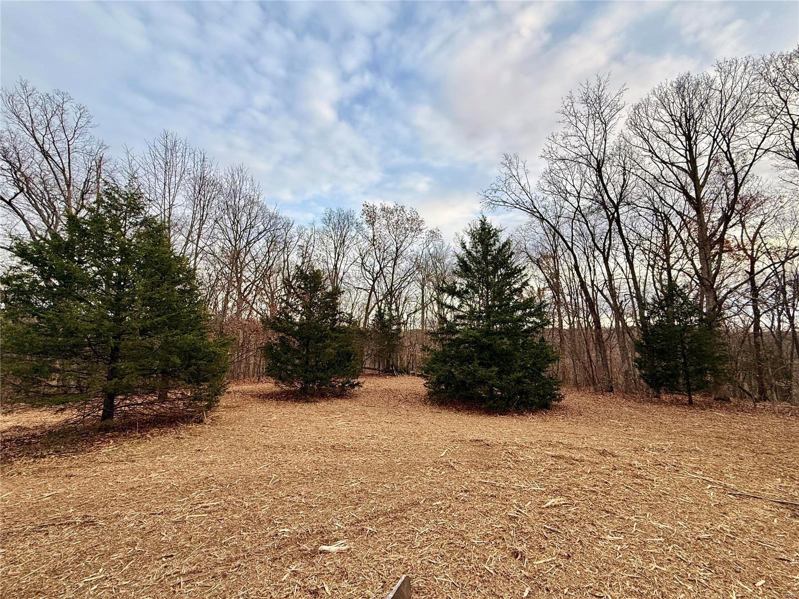 0 Callaway Ridge Drive Property Photo 10
