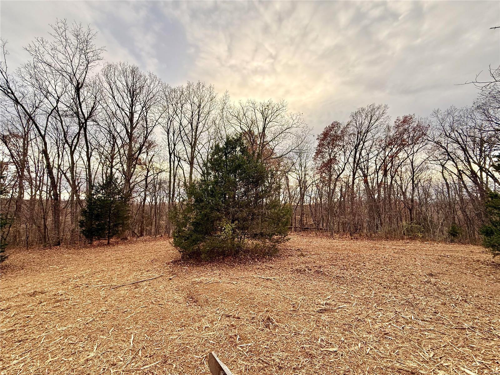 0 Callaway Ridge Drive Property Photo 11