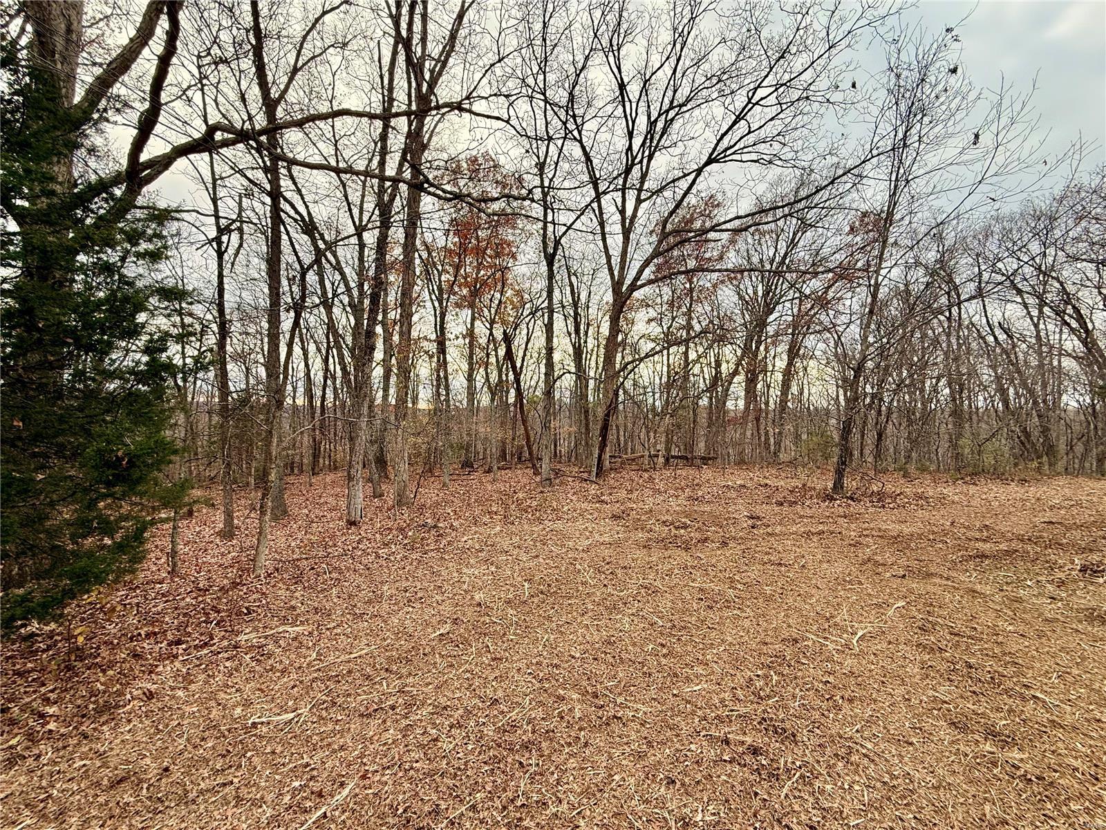 0 Callaway Ridge Drive Property Photo 12