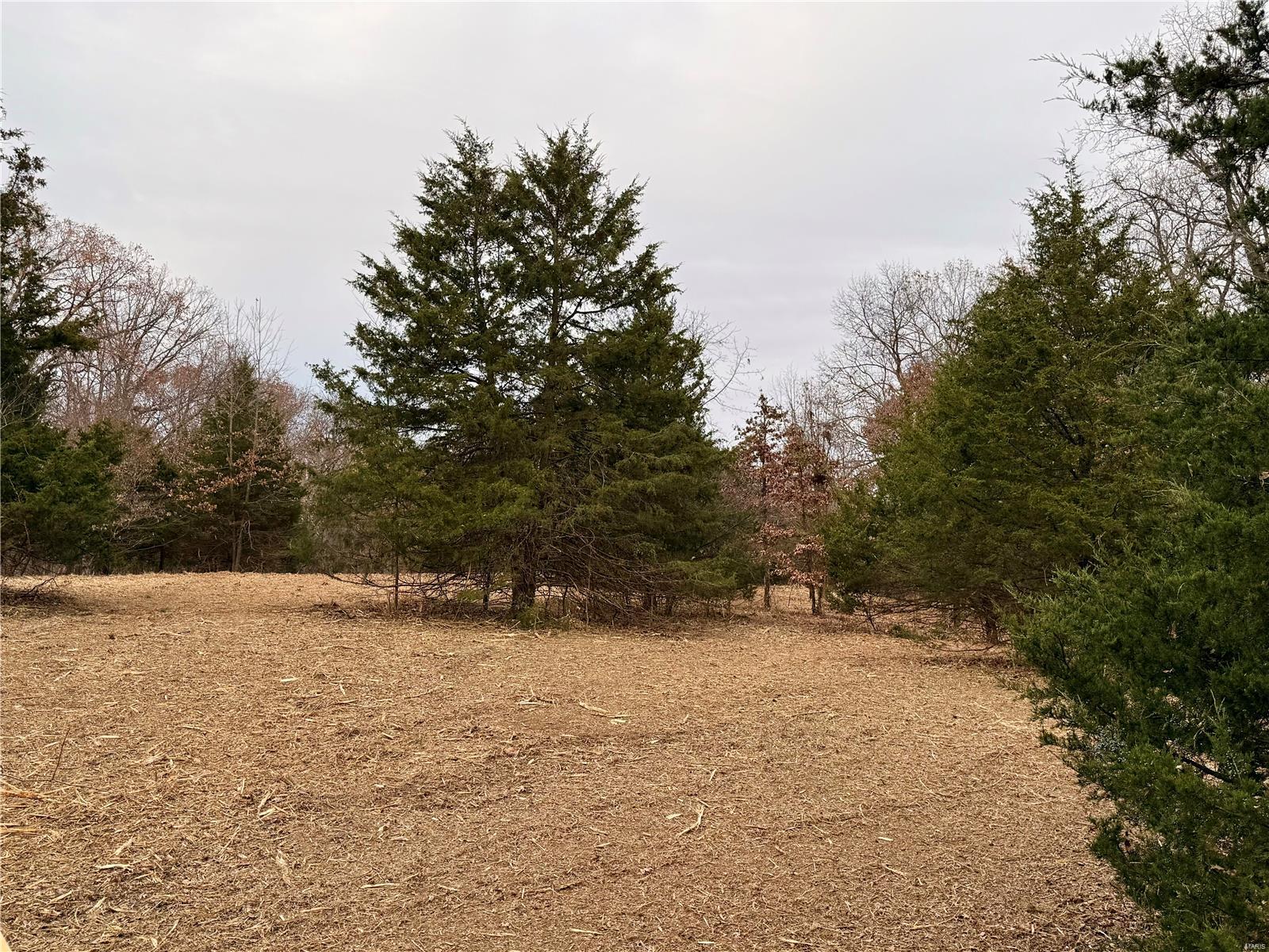 0 Callaway Ridge Drive Property Photo 13