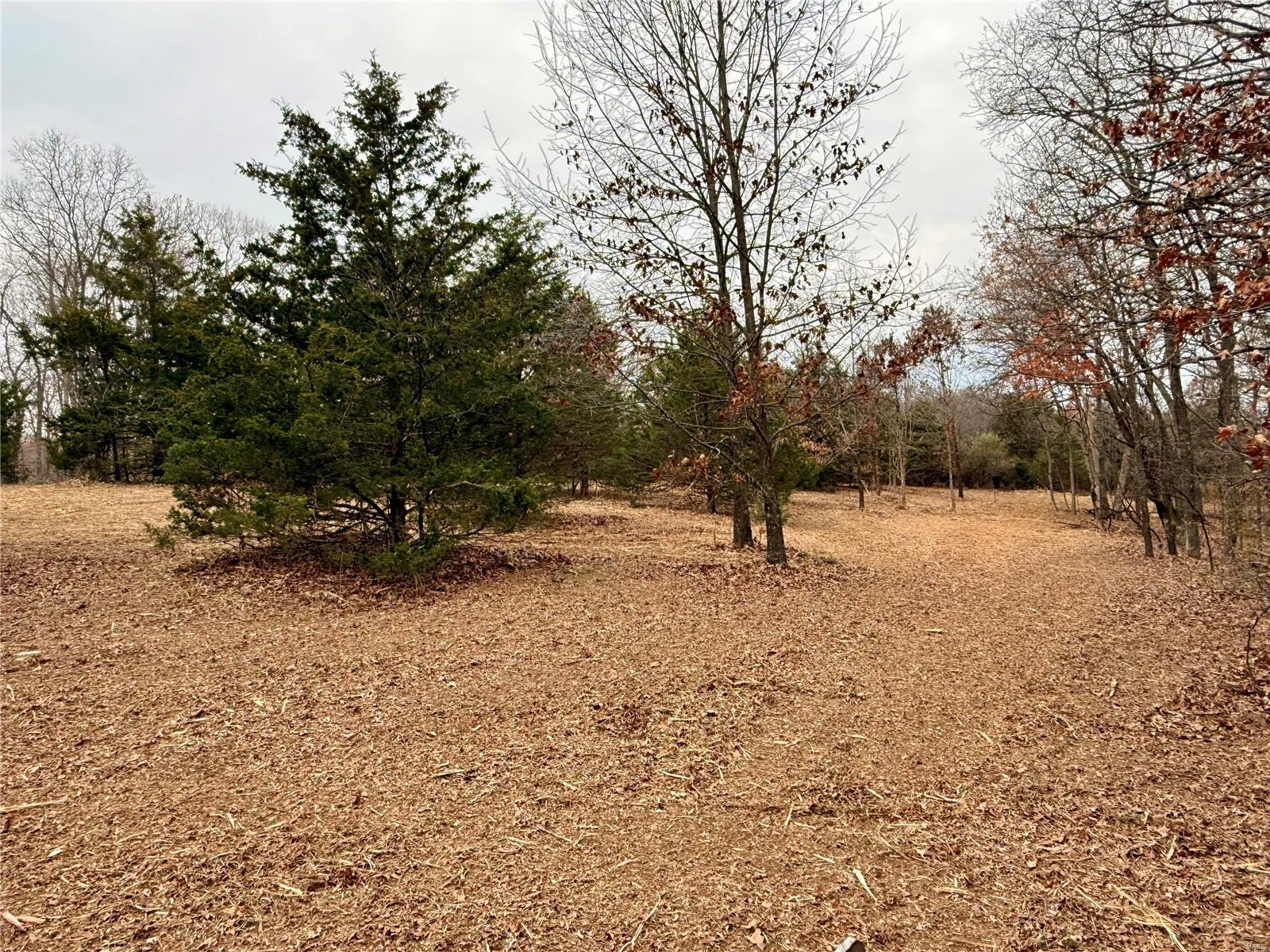 0 Callaway Ridge Drive Property Photo 14