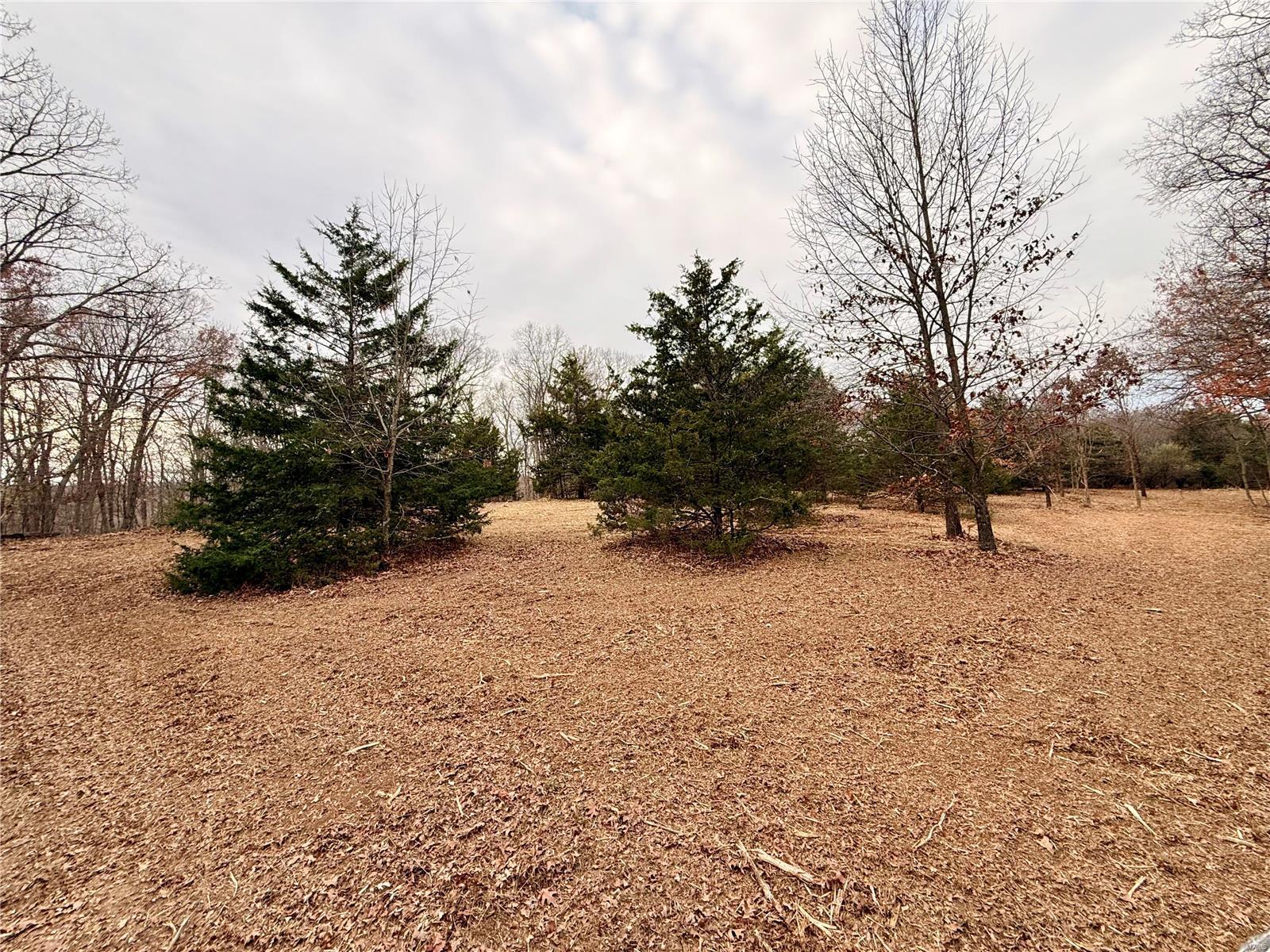 0 Callaway Ridge Drive Property Photo 15