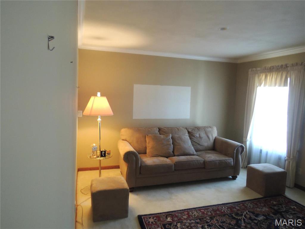 5 Spring Hill Drive Property Photo 8