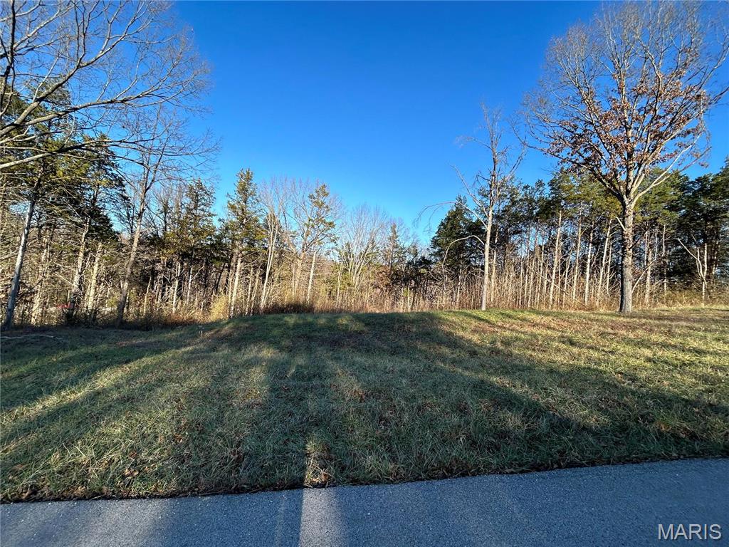 1 Lot 1 Iron Horse Trail Property Photo 1