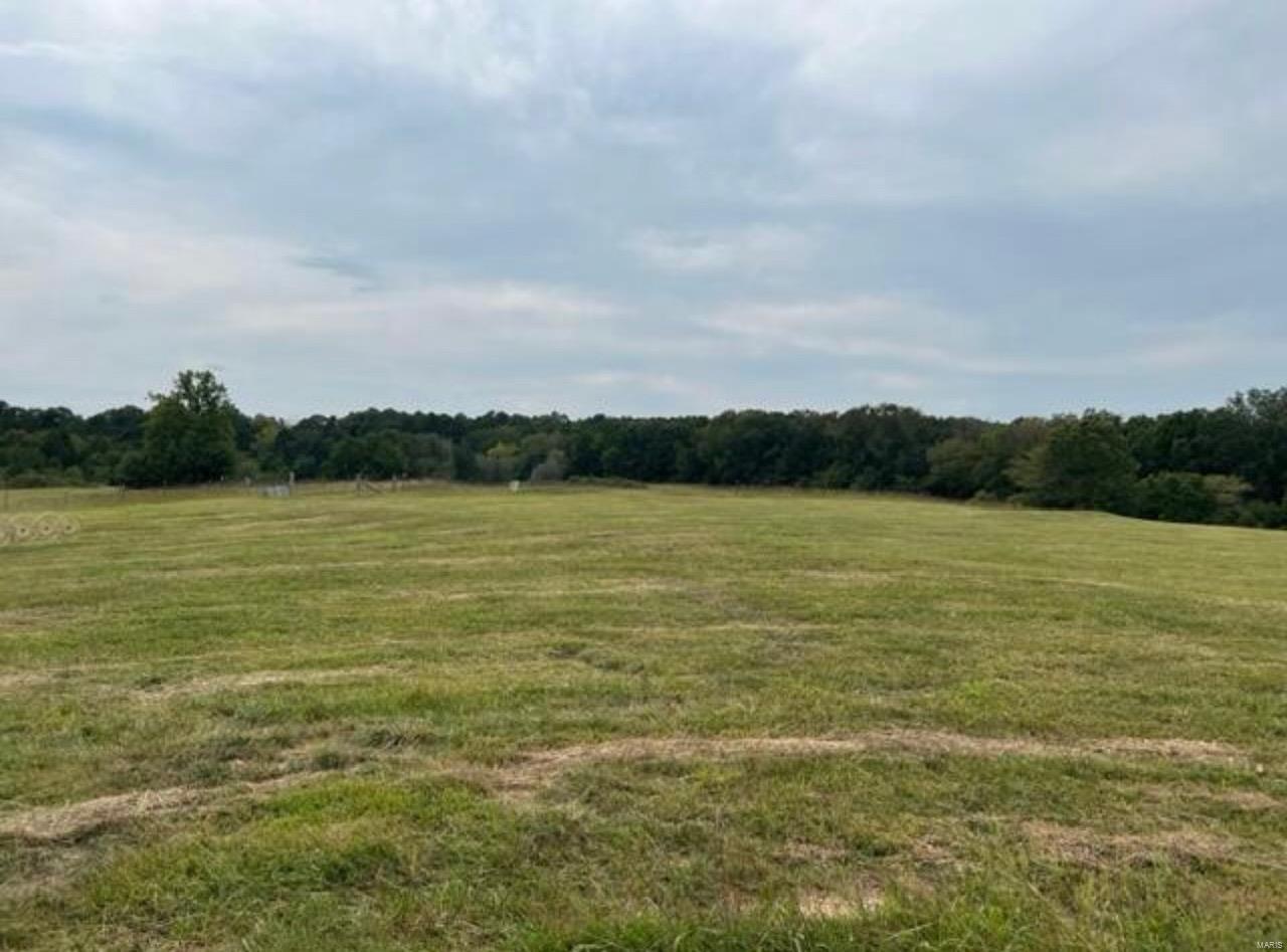 15442 Boiling Springs Road Property Photo 1