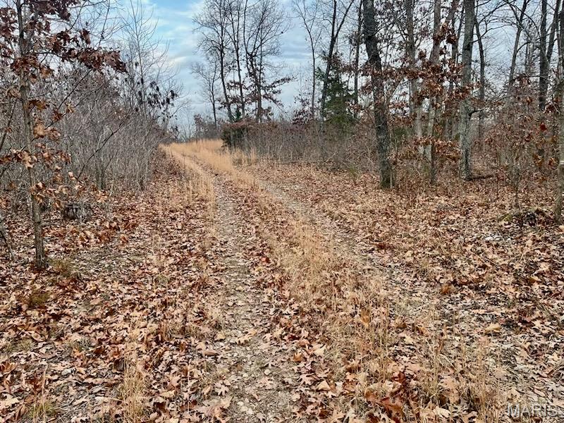 0 125.87 Ac Tract1-a Clear Creek Road Property Photo 1