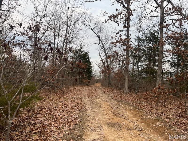 0 125.87ac Tract A-2 Clear Creek Road Property Photo 1