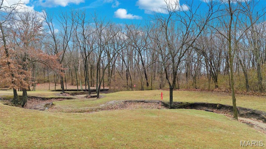 7467 Walshville Trail Property Photo 51