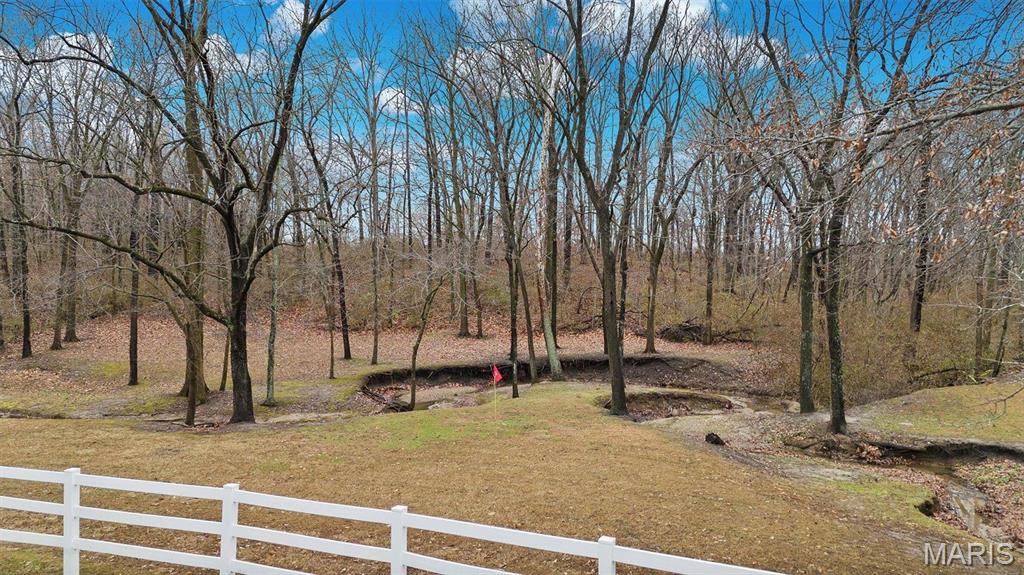 7467 Walshville Trail Property Photo 53