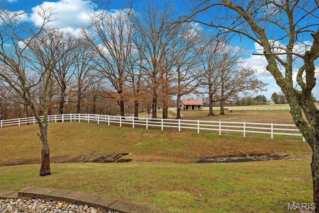 7467 Walshville Trail Property Photo 54