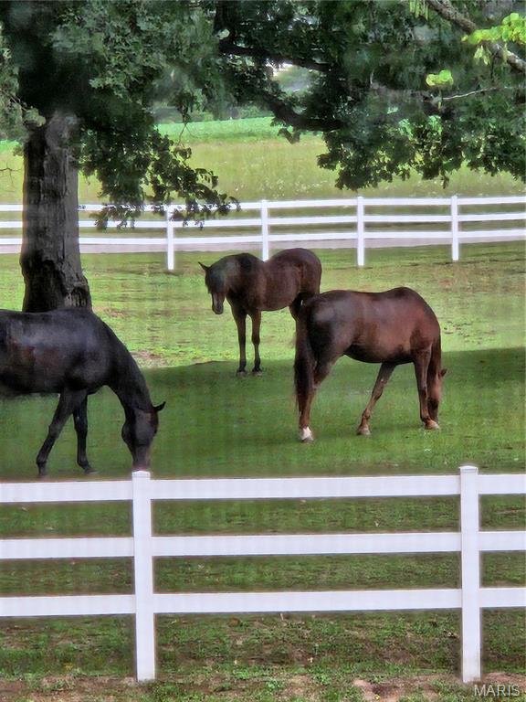 7467 Walshville Trail Property Photo 62