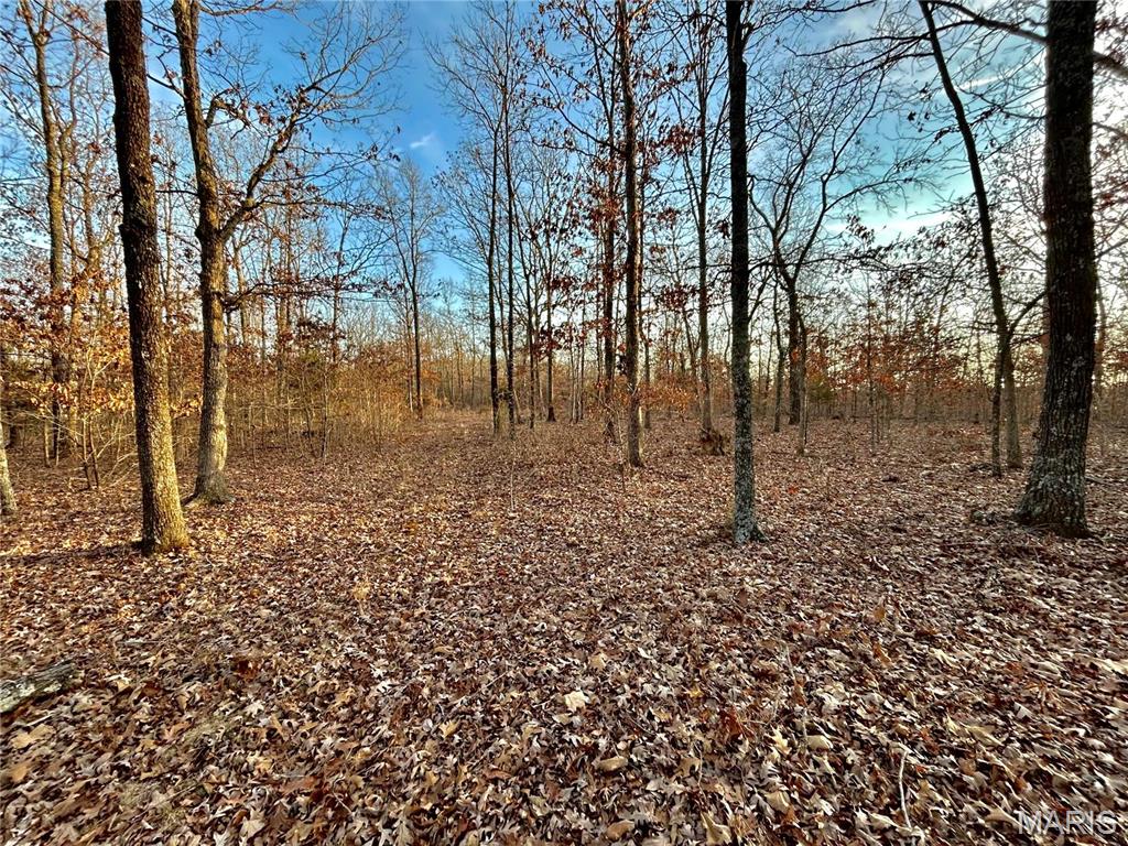 Tbd Tract 1 Highway Cc Property Photo 1