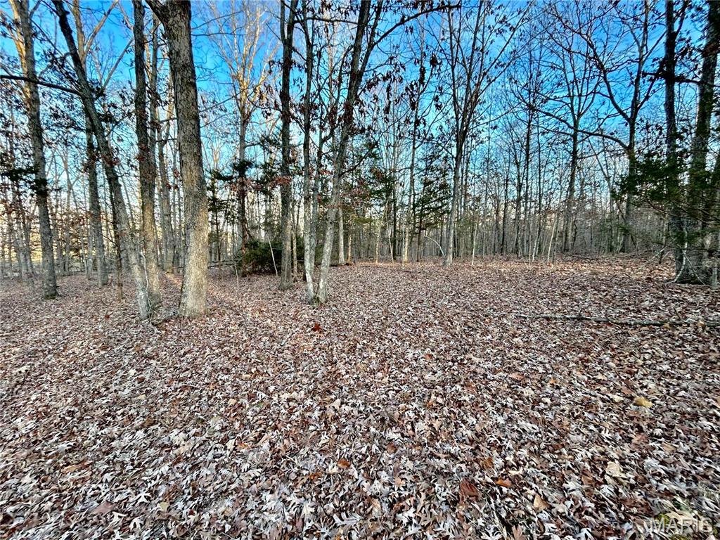 Tbd Tract 1 Highway Cc Property Photo 3