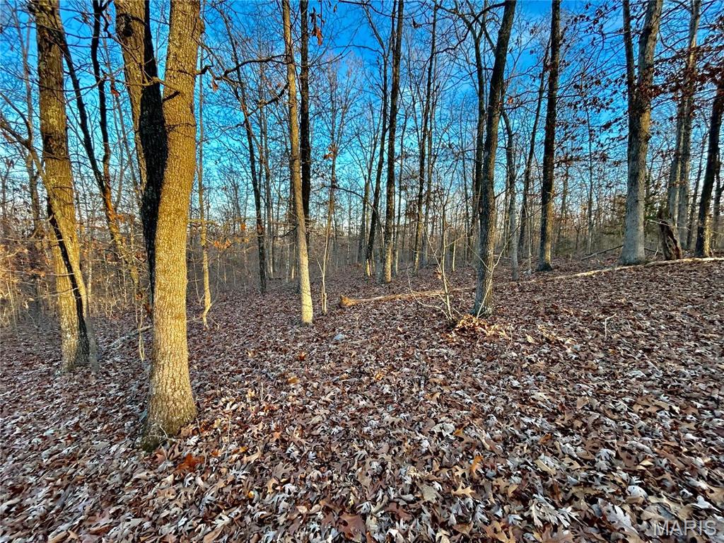 Tbd Tract 1 Highway Cc Property Photo 5