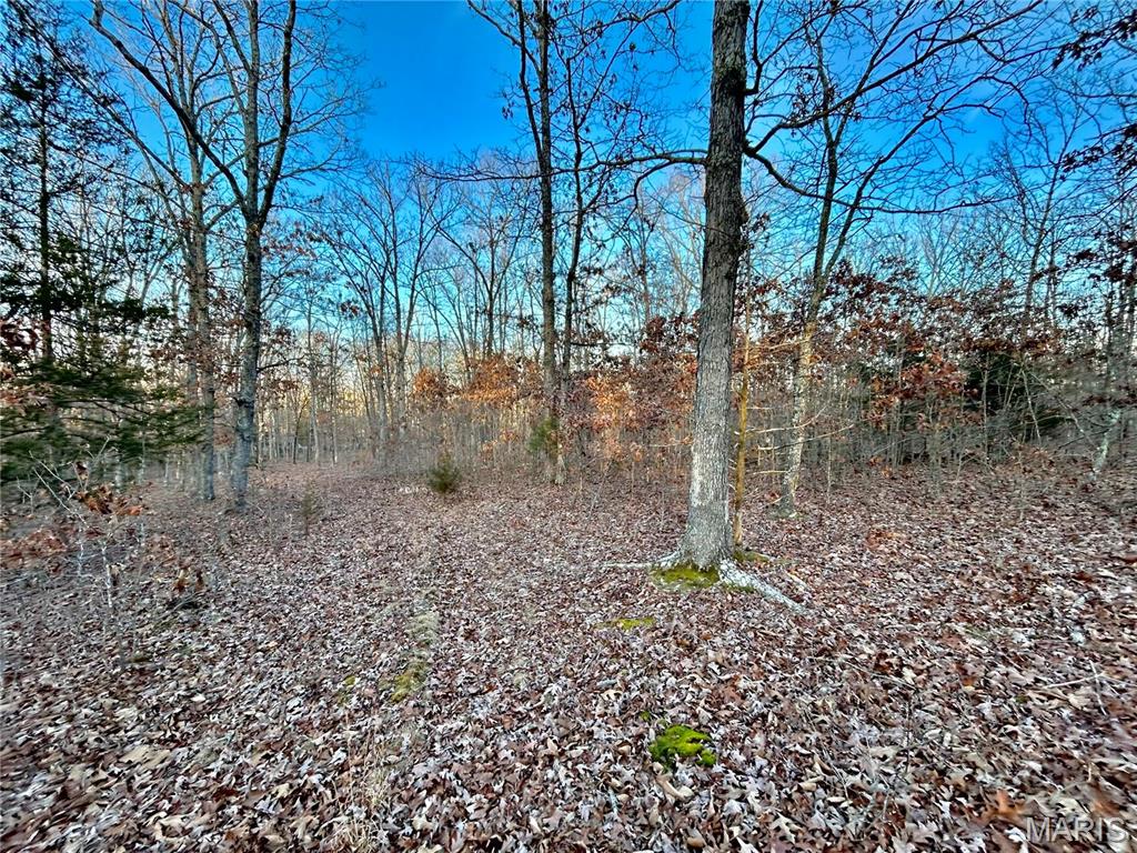 Tbd Tract 1 Highway Cc Property Photo 6