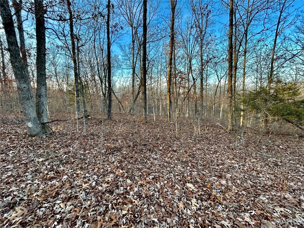 Tbd Tract 1 Highway Cc Property Photo 7