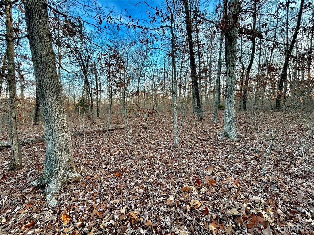 Tbd Tract 1 Highway Cc Property Photo 8