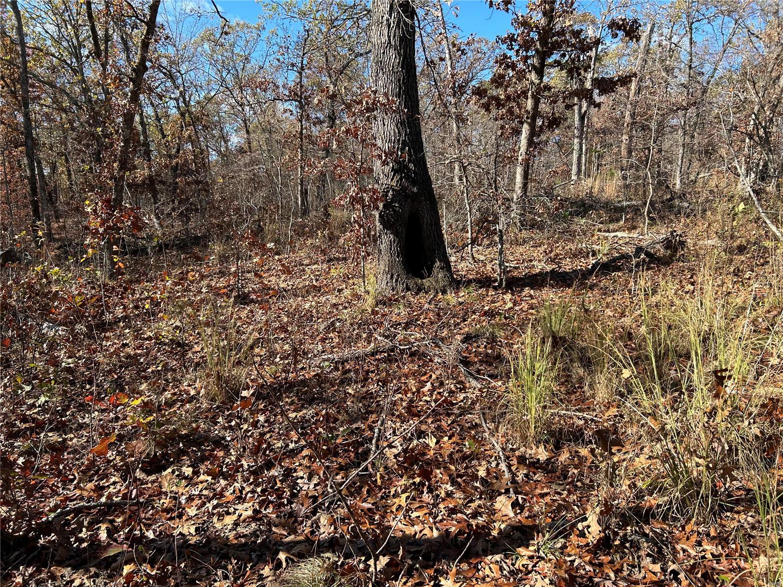 0 Partridge 14.55 Acres Property Photo 1