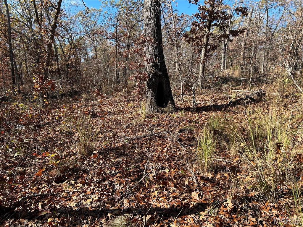 0 Partridge 8.02 Acres Property Photo 1