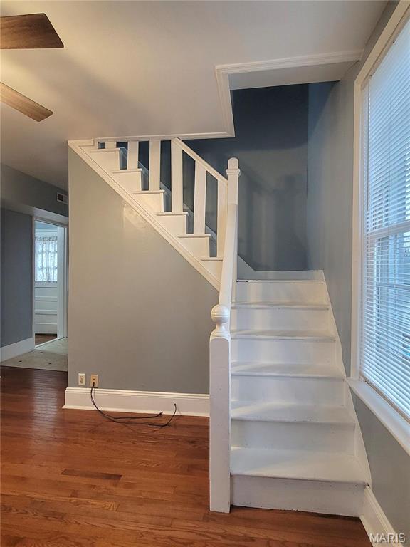 305 Macarthur Street Property Photo 14
