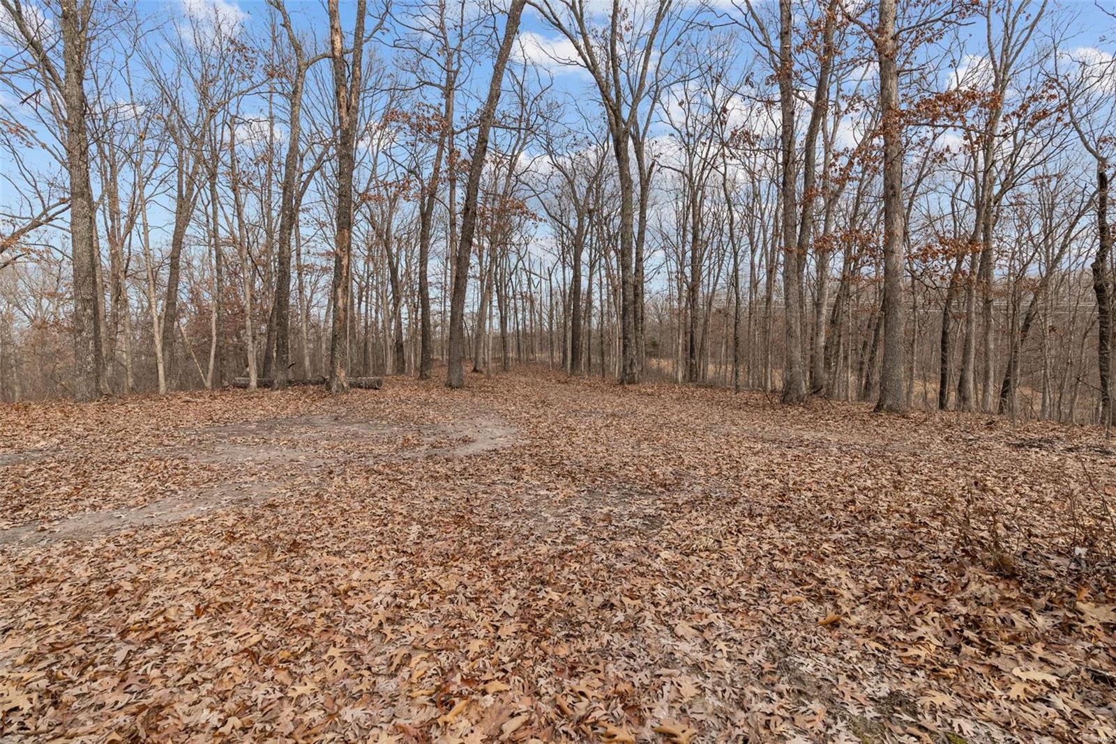 26380 Pebble Creek Drive Property Photo 26