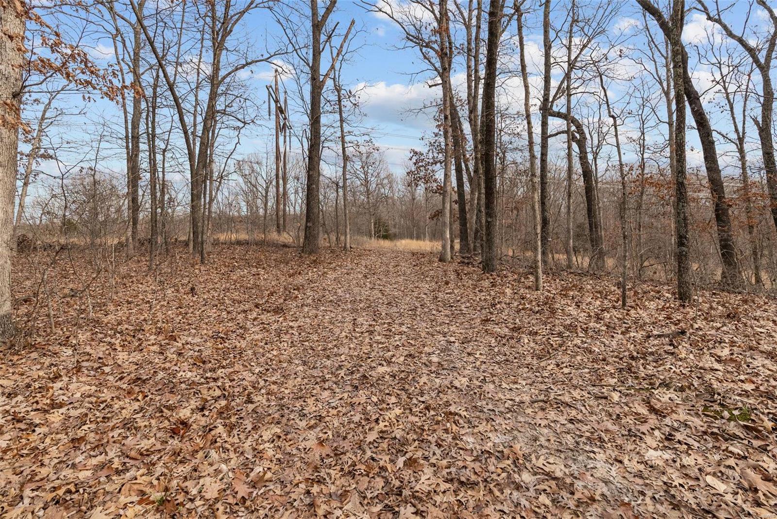 26380 Pebble Creek Drive Property Photo 27