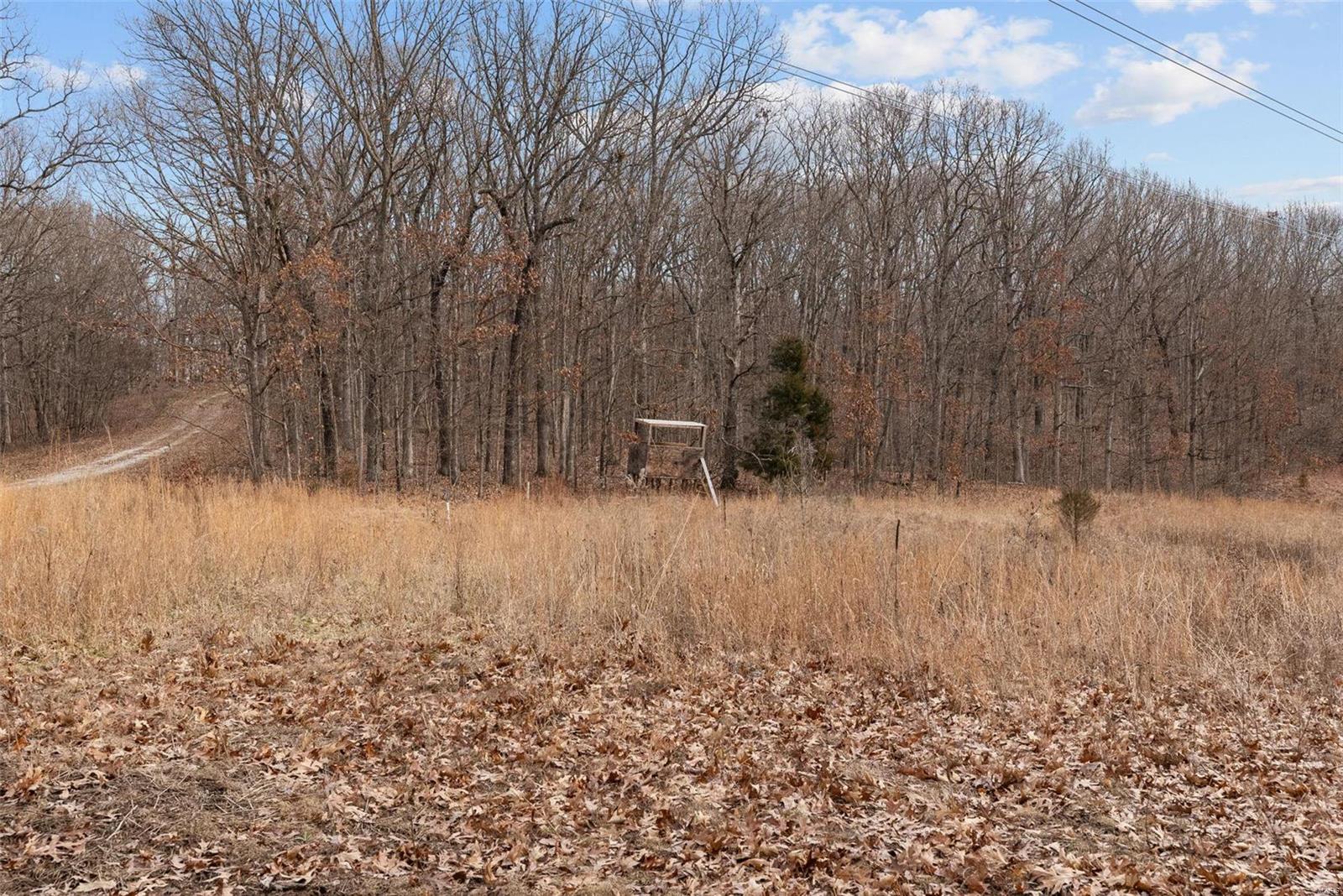 26380 Pebble Creek Drive Property Photo 28