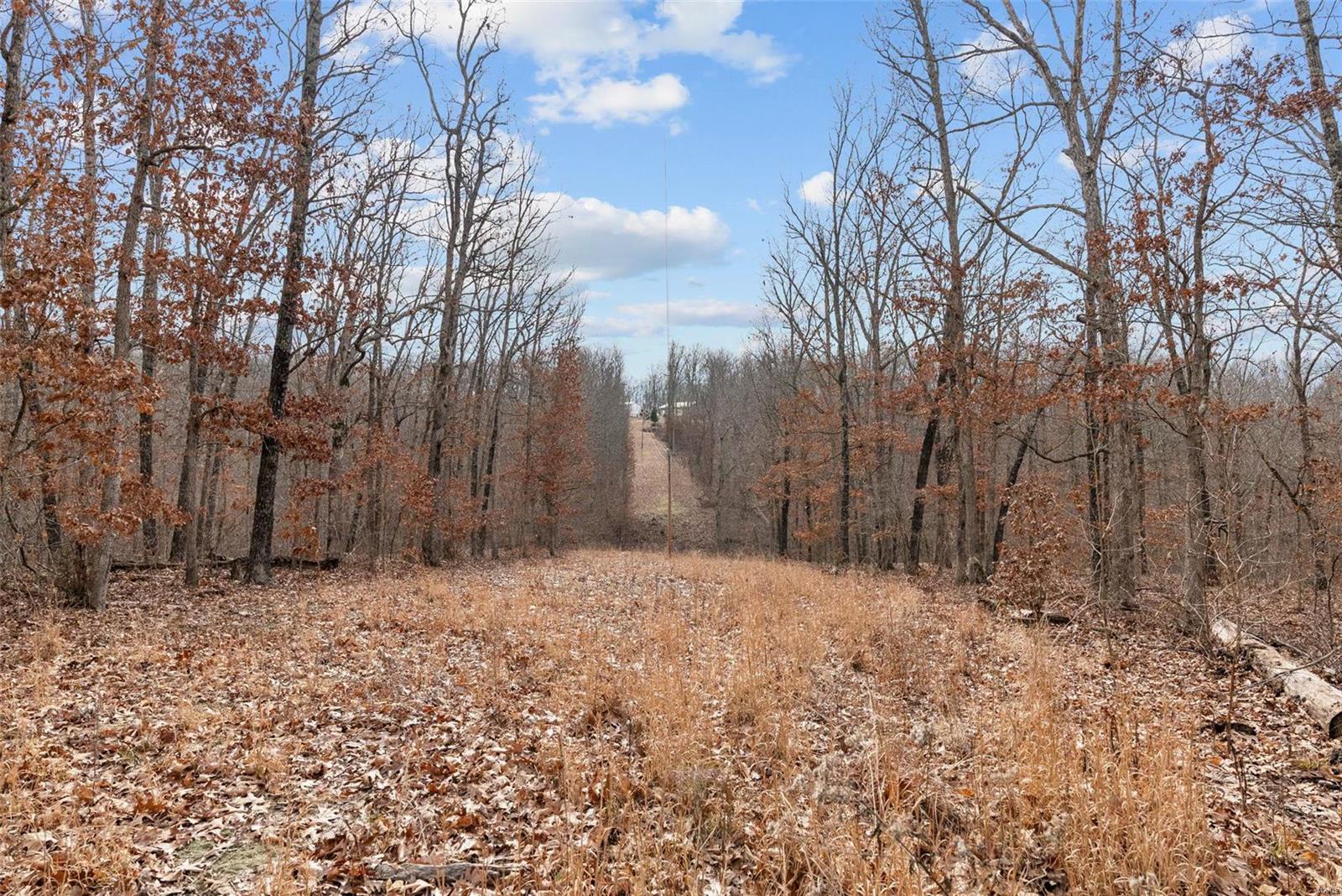26380 Pebble Creek Drive Property Photo 31
