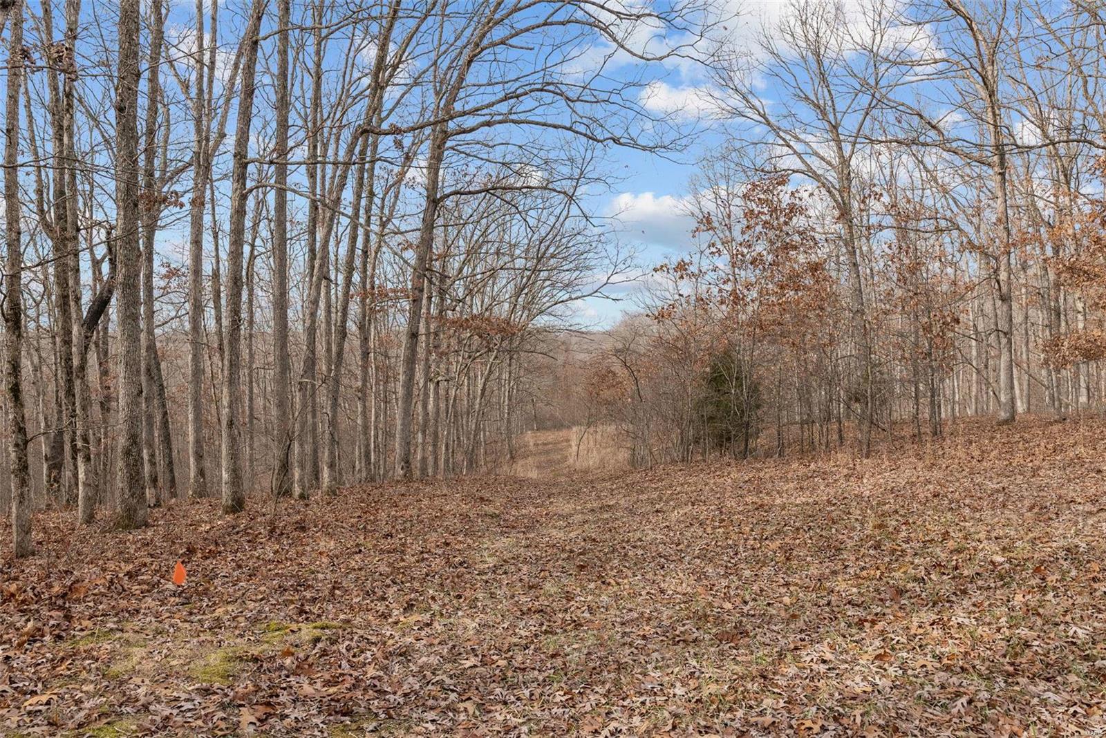 26380 Pebble Creek Drive Property Photo 37