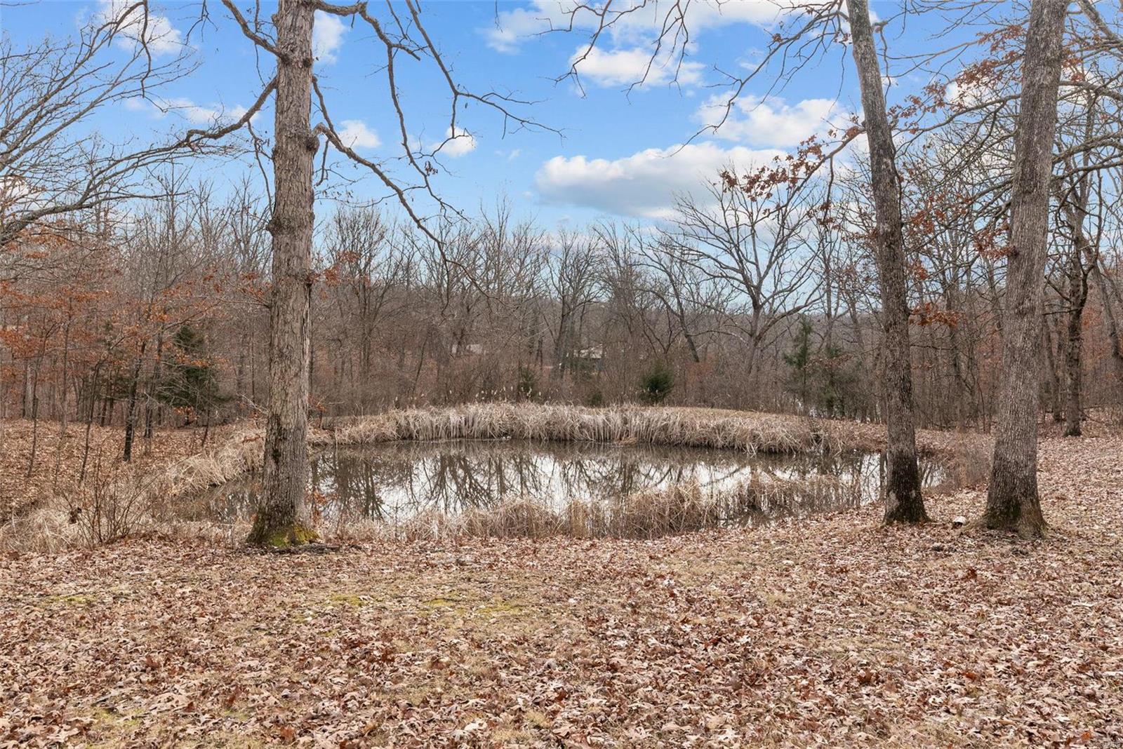 26380 Pebble Creek Drive Property Photo 38