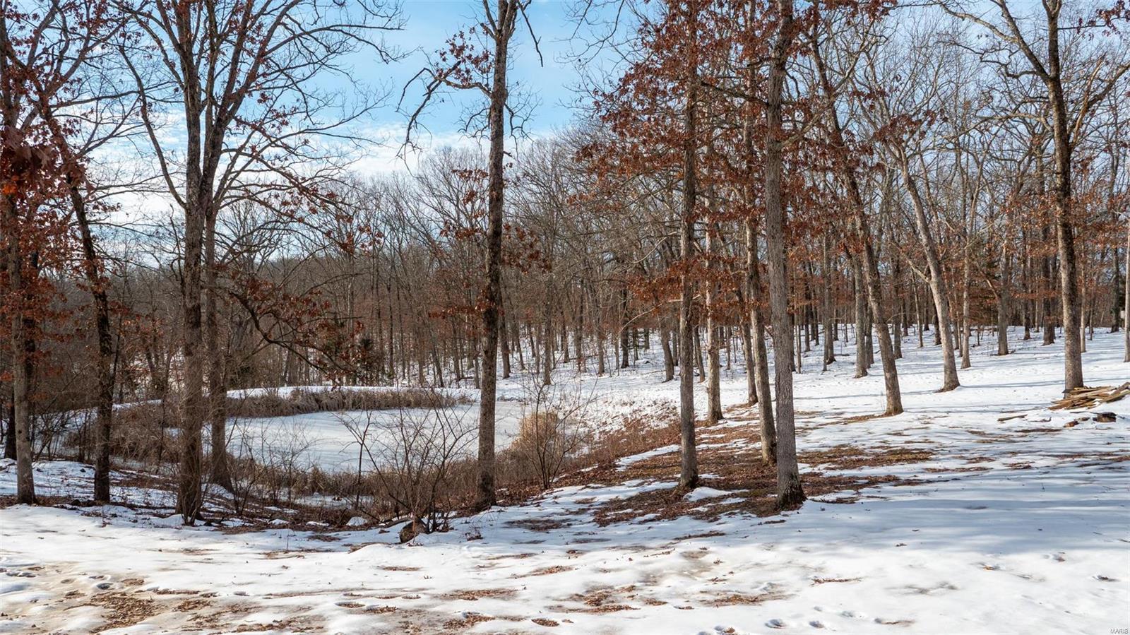 26380 Pebble Creek Drive Property Photo 66