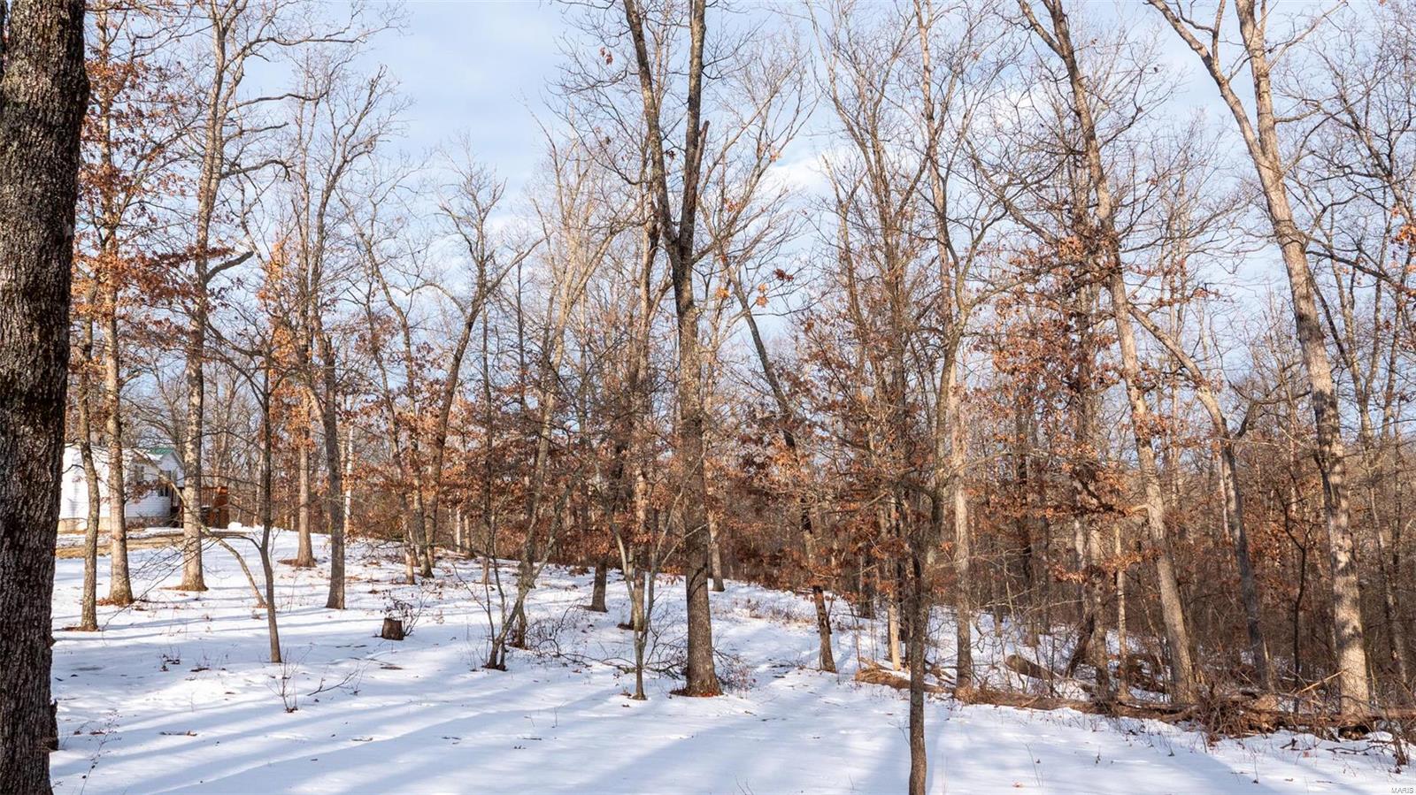 26380 Pebble Creek Drive Property Photo 69