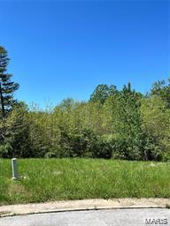 1457 Fairwood Drive Property Photo