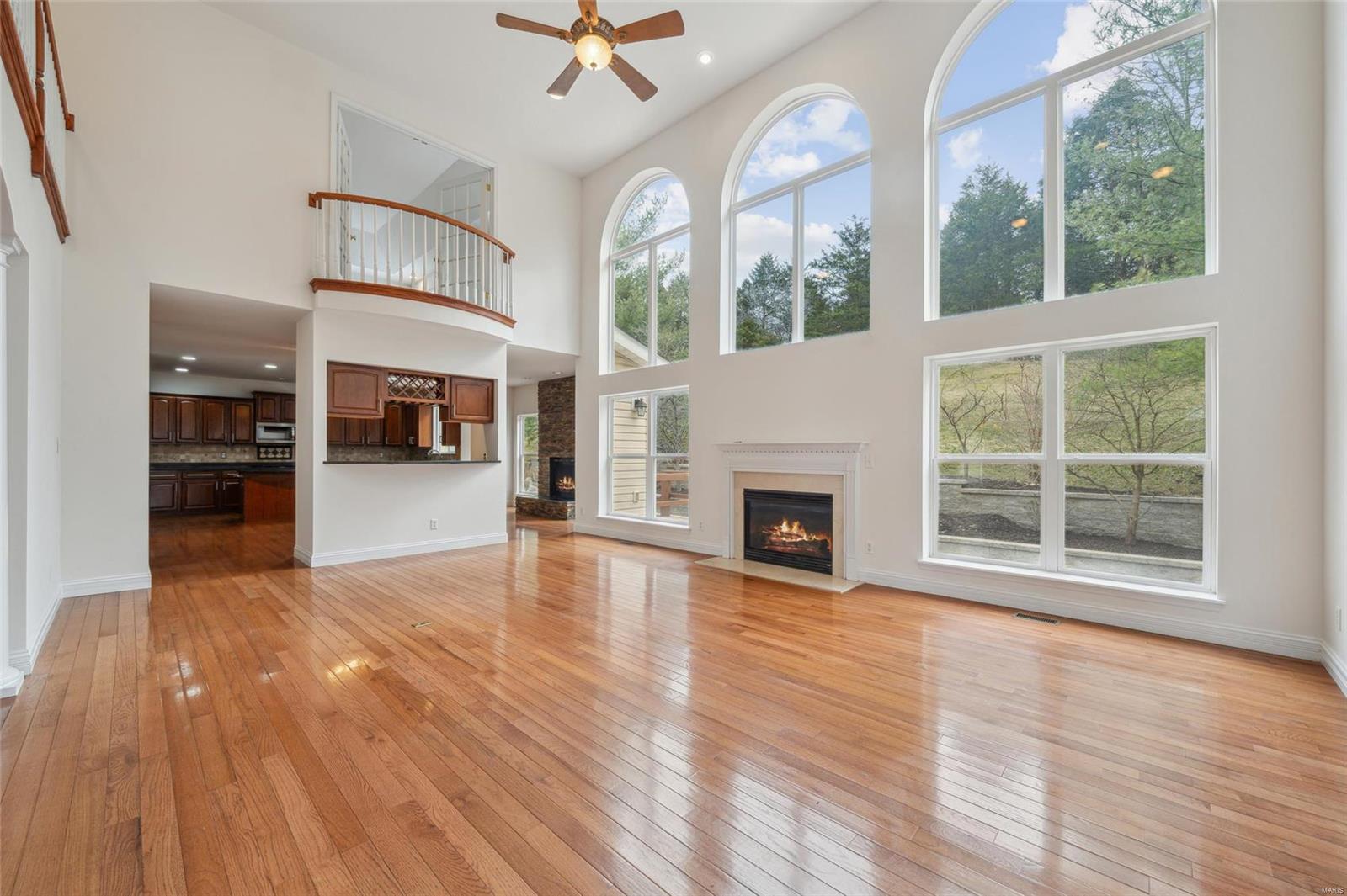 730 Hesemann Ridge Court Property Photo 4