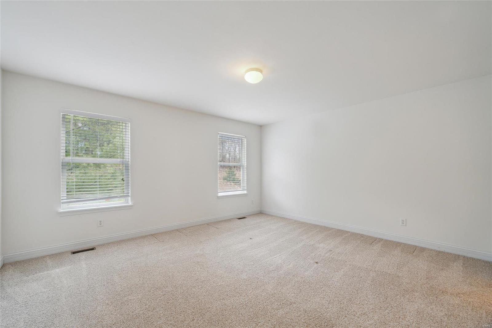 730 Hesemann Ridge Court Property Photo 22