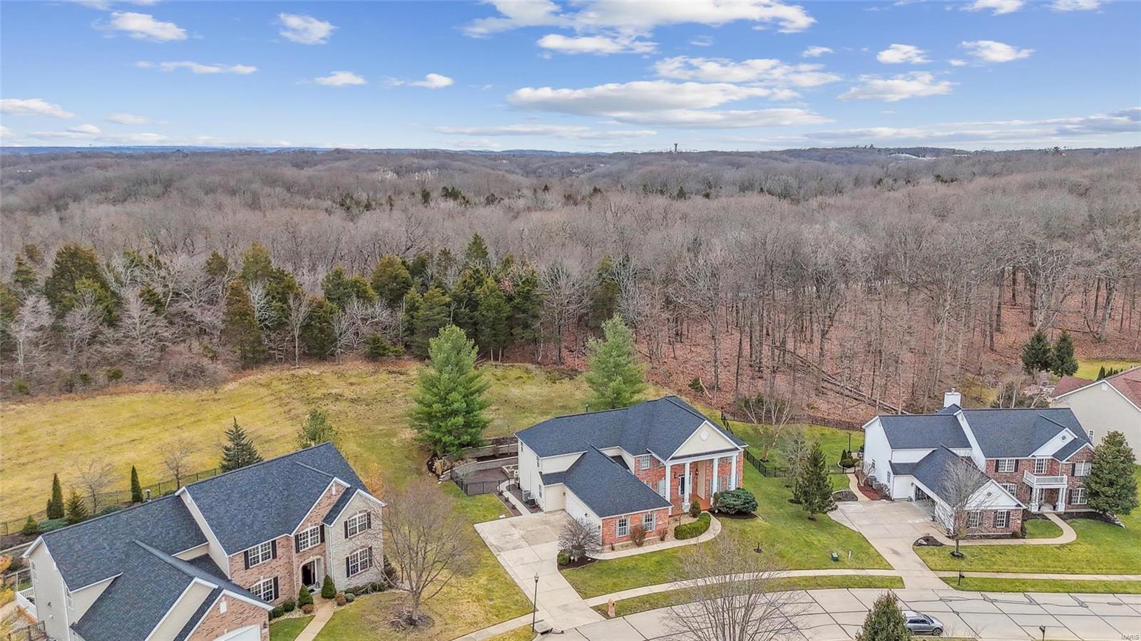 730 Hesemann Ridge Court Property Photo 27