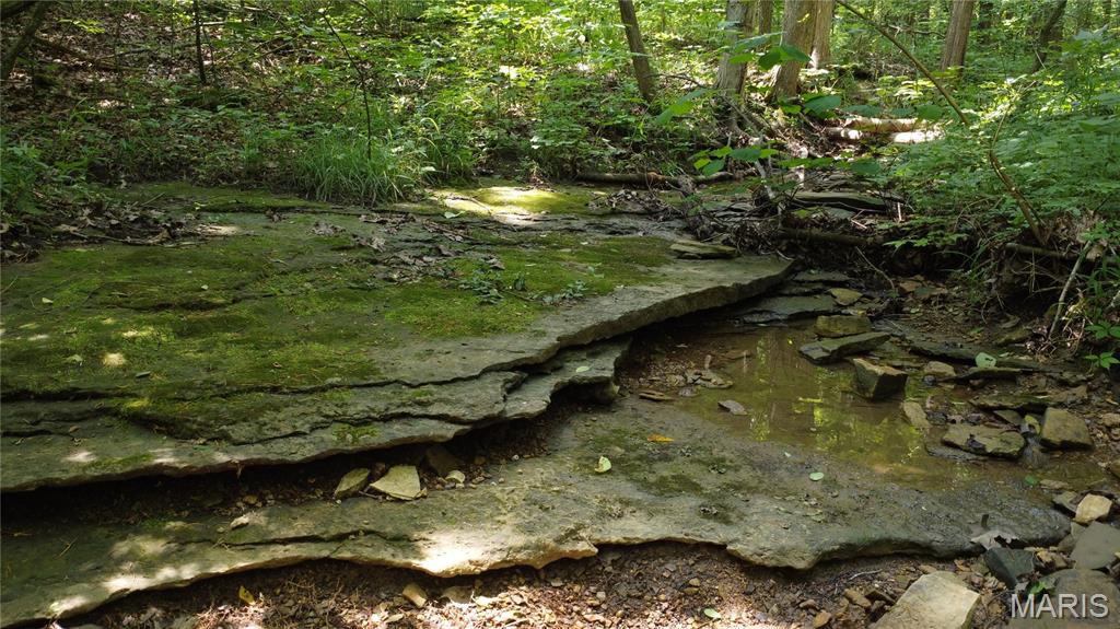 0 State Highway U - Tract 2 Property Photo 1