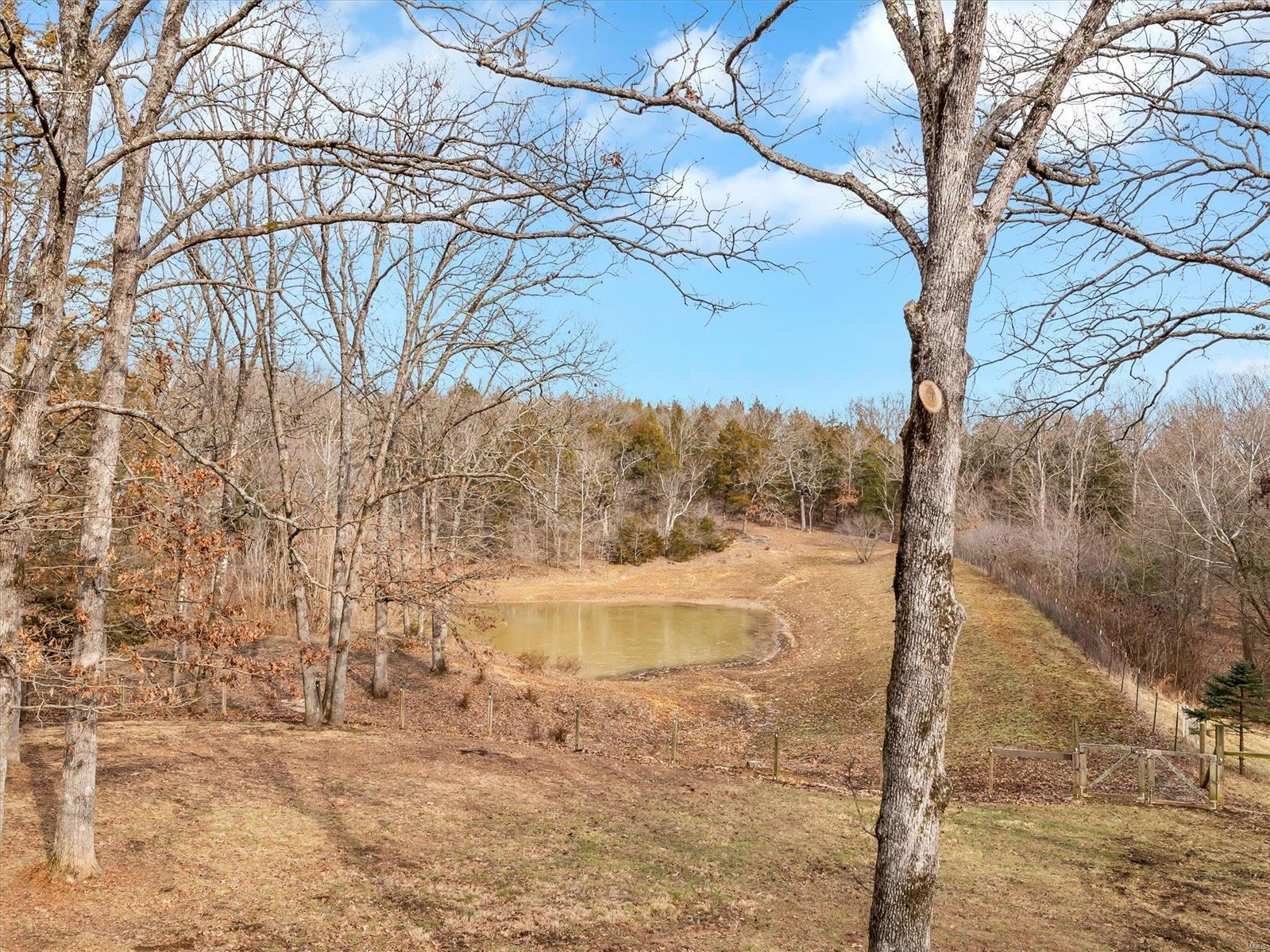8562 Lizard Lane Property Photo 58