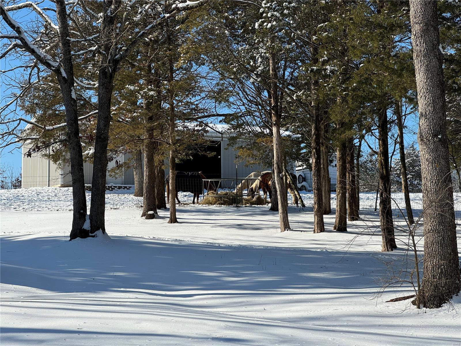 8562 Lizard Lane Property Photo 84