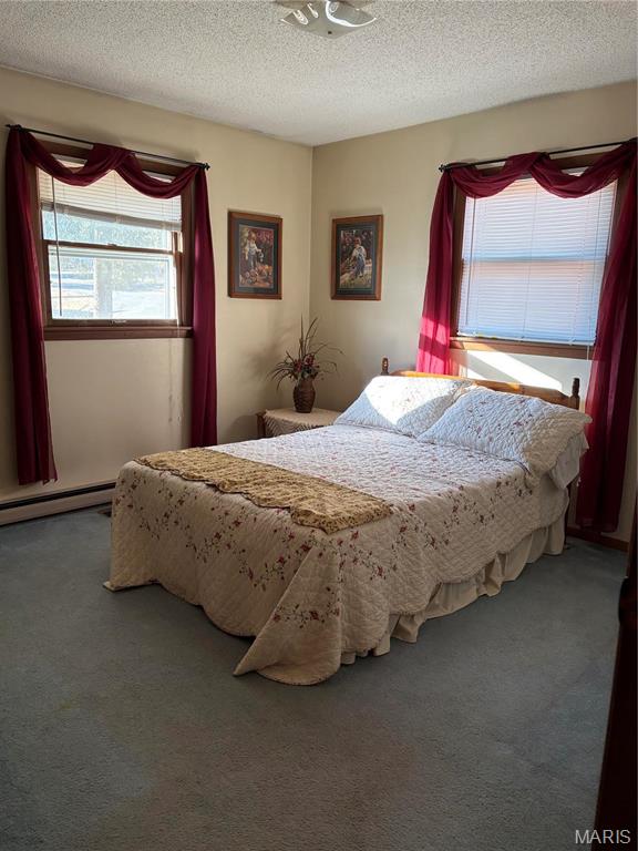 10019 Seabourne Street Property Photo 15