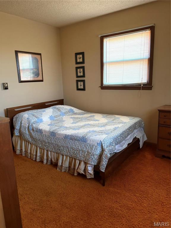 10019 Seabourne Street Property Photo 17