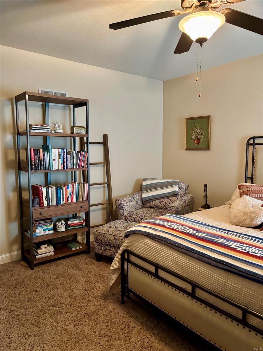15096 Highway T Property Photo 28