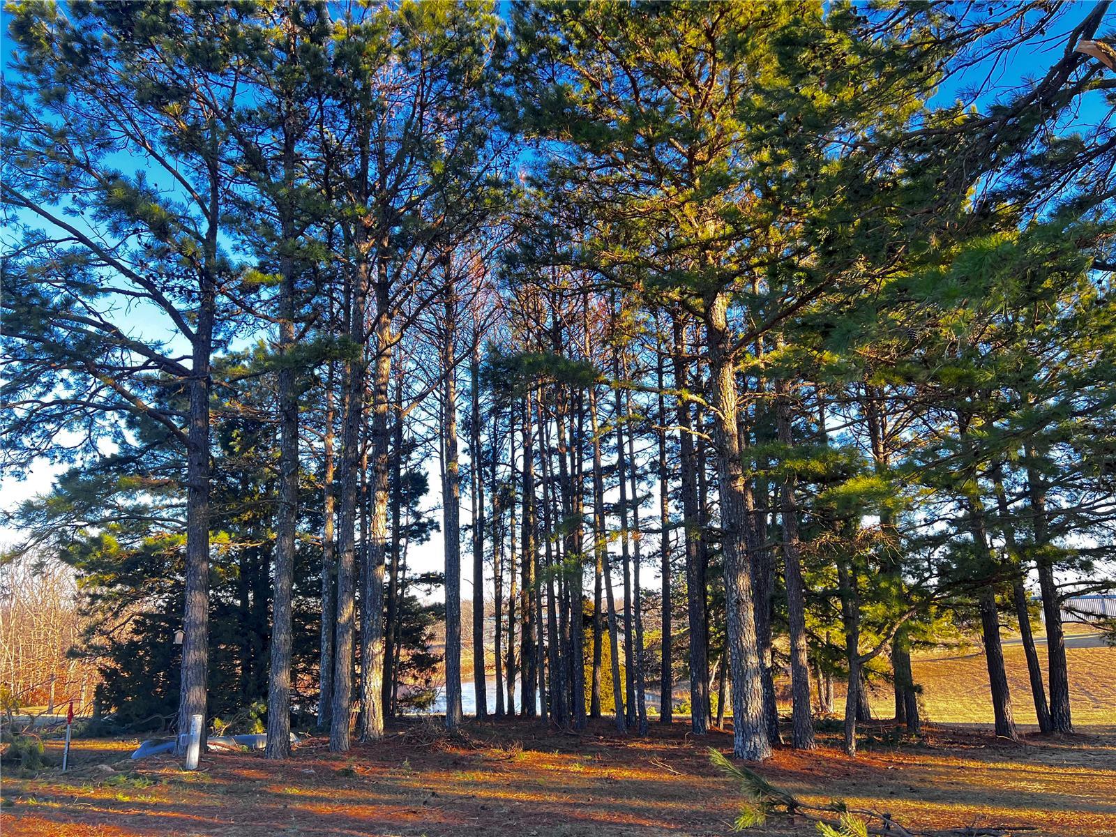 15096 Highway T Property Photo 35