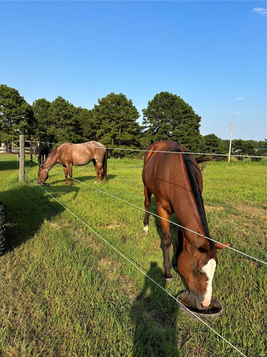 15096 Highway T Property Photo 44