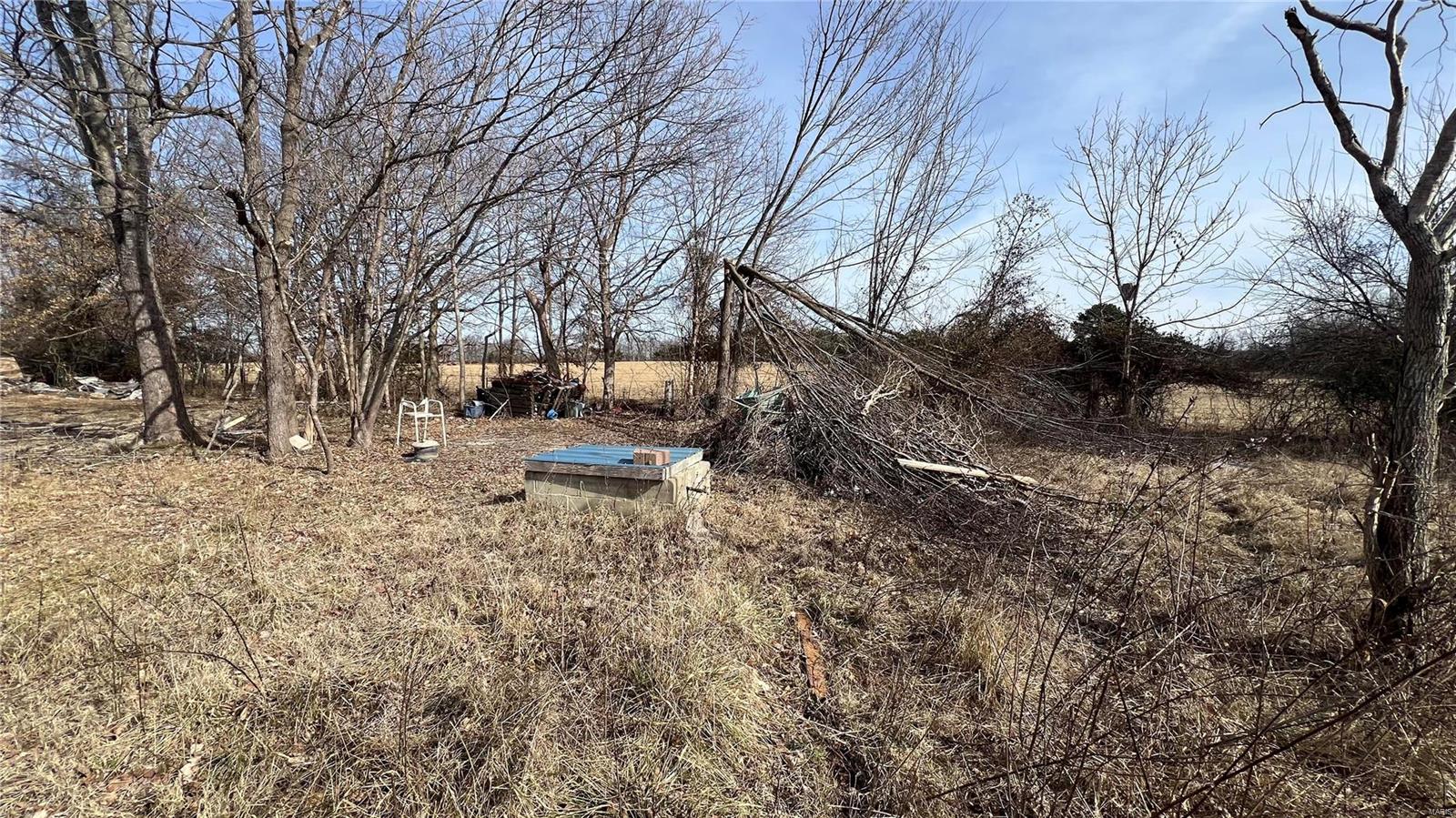 1113 Willow Street Property Photo 4